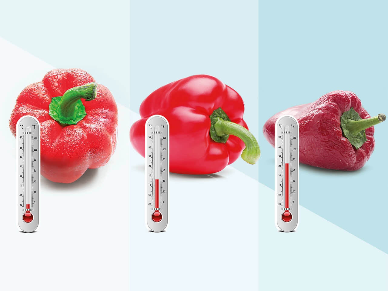 El sector alimentario es un mercado altamente competitivo con una gran sensibilidad a los cambios y, a menudo, con márgenes de beneficio muy bajos. Una logística de alto rendimiento hará que las empresas sean más rentables, generen más clientes y, en última instancia, aumenten los márgenes de beneficio.